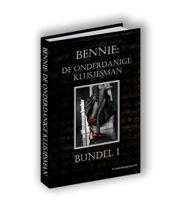 E-book Bennie de onderdanige klusjesman (1)